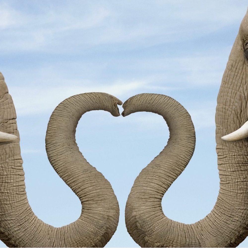 Meet your Posher, Cassy